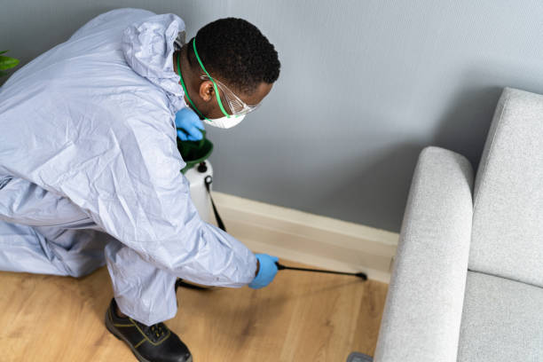 Best Pest Control for Multi-Family Homes  in , VT